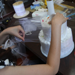 �̌����i02