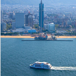 �̌����i01