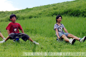 �̌����i�̎ʐ^